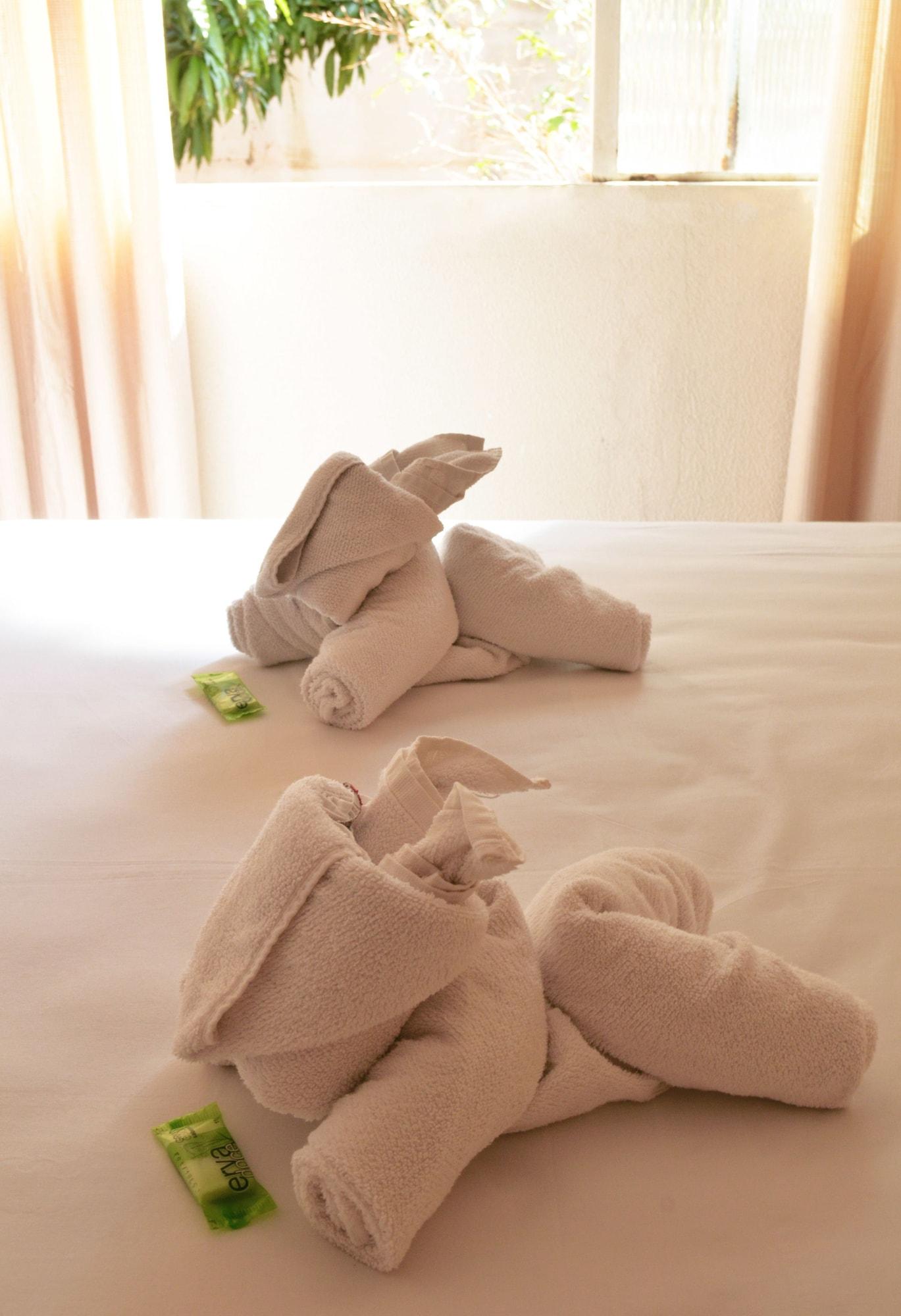 Iguacu Plaza Hotel ฟอสดูอีกวาซู ภายนอก รูปภาพ